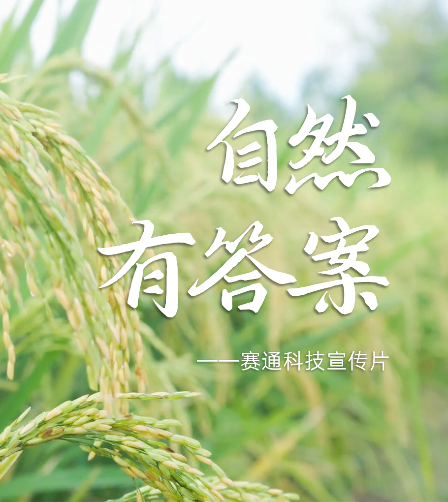 首页新闻左侧封面